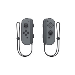 NINTENDO SWITCH Joy-Con (L)(R) Gray