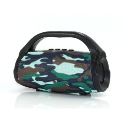 BS118 Bluetooth Speaker