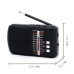 Golon ICF 8 Bluetooth USB Radio