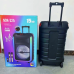 NDR 325 15 Inch Karaoke Speaker with 2 Wireless Microphones