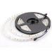 LED RGB Strip Lights 5 Meter Waterproof