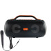 Speaker E 4101 Karaoke Speaker