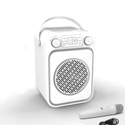 ZQS1458 Wireless Speaker With Microphone