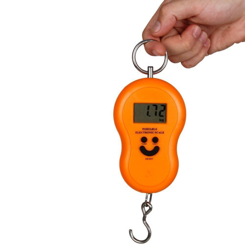 Smiley Portable Electronic Weighing Scale Capacity 50kg