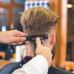 Hair Clipper WY-999 Transparent USB Rechargeable Silent