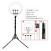 LJJ-22 22-Inch Ring Light with Mini Phone Holder for Smartphones & Cameras - Black