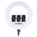 LJJ-22 22-Inch Ring Light with Mini Phone Holder for Smartphones & Cameras - Black