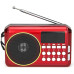 YUEGAN YG-601BT Multifunction FM Radio & Bluetooth Wireless Speaker with USB/TF Card Support