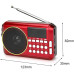 YUEGAN YG-601BT Multifunction FM Radio & Bluetooth Wireless Speaker with USB/TF Card Support