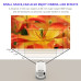 Game Projector 2-in-1 Professional Chip 3D Games & 4K Home Cinema | 2.4G Wireless
