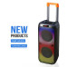 Karaoke Speaker DR-8833 double 8 inch