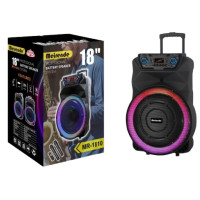 Meirende MR 1810 18 Inch Wireless Party Speaker