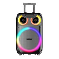 Mouschi 15" SALSA Bluetooth Party Speaker with RGB Lights & Wireless Microphone