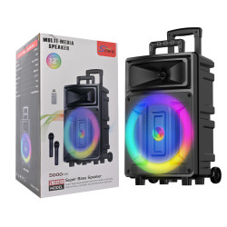 SING-E ZQS12131 12 Inch Wireless Karaoke Speaker RGB LED
