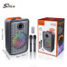 SING-E ZQS12156S 12-Inch Portable Bluetooth Karaoke Speaker with RGB Lights & Dual Wireless Microphones