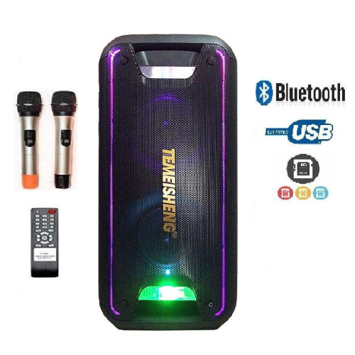 Temeshing TWS 502 Double 5.25 Inch Karaoke Speaker with Wireless Mic